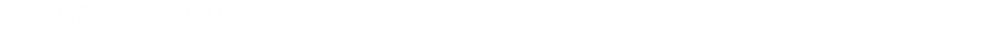 SOCIOS DE LA FIRMA